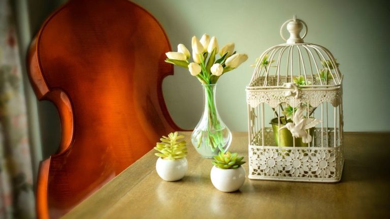 Marriage Bureau Digri