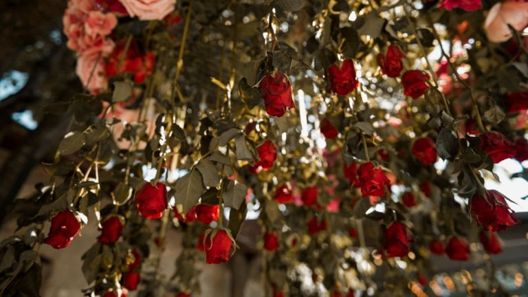 Marriage Bureau Latifabad